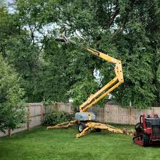 Best Fruit Tree Pruning  in Hidden Meadows, CA